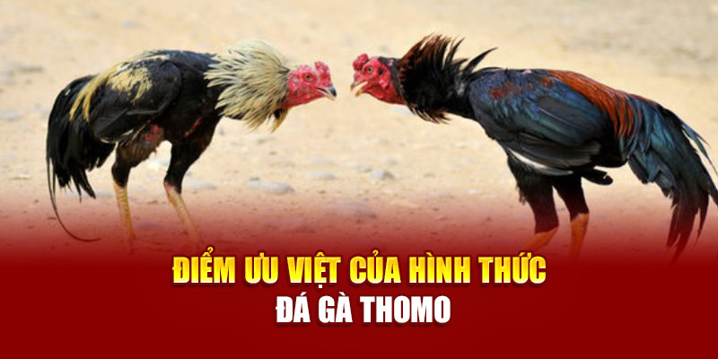Đá gà Campuchia chia thành nhiều thể loại, mỗi loại mang đặc trưng riêng về tốc độ và kỹ năng