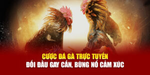 Đá Gà Mộc Bài – Trải Nghiệm Cá Cược Biên Giới Căng Thẳng, Hấp Dẫn Từng Giây