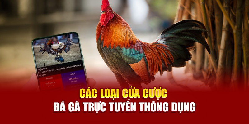 Mộc Bài tổ chức nhiều dạng đá gà, nhưng phổ biến nhất vẫn là gà cựa dao do tính sát phạt cao và dễ thu hút cược thủ