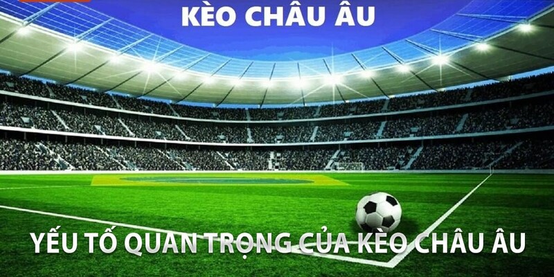 Soi kèo góc, kèo thẻ đang trở thành xu hướng mới nhờ tỷ lệ ăn cao và dễ kiểm soát